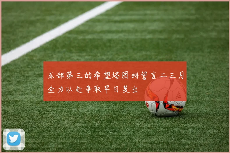 东部第三的希望塔图姆誓言二三月全力以赴争取早日复出