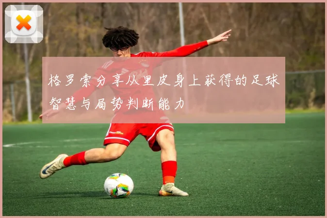 格罗索分享从里皮身上获得的足球智慧与局势判断能力